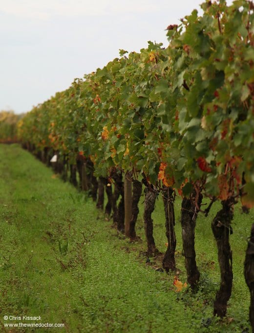 Château Latour à Pomerol