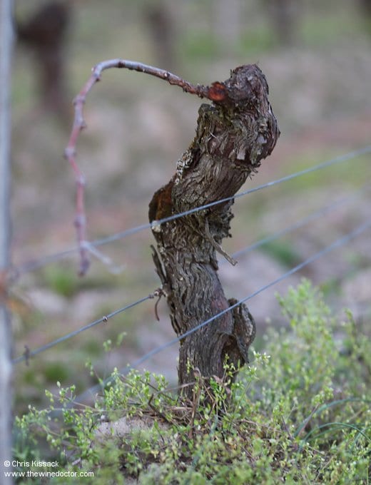 Château La Tour Figeac