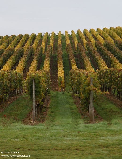 Château La Vieille Cure