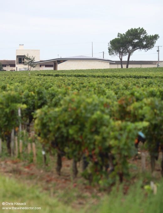 The new chai and the pine trees at Le Pin, October 2012 Le Pin