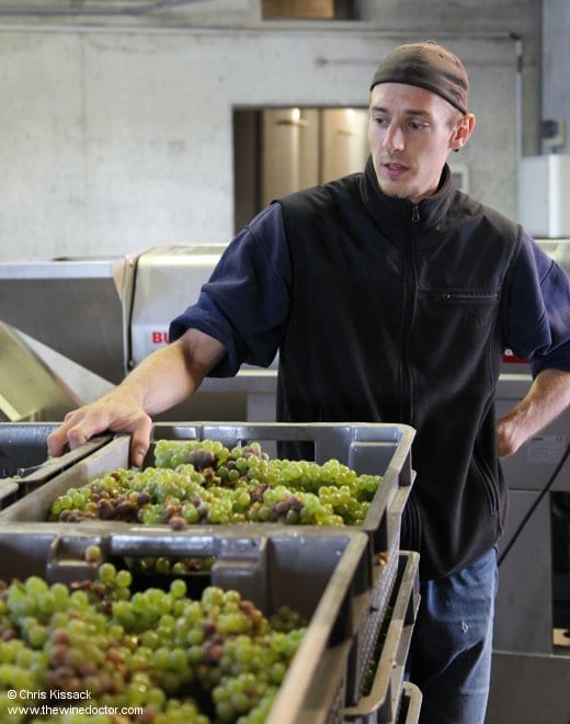 Sébastien Redde, Domaine Michel Redde, October 2013 Michel Redde