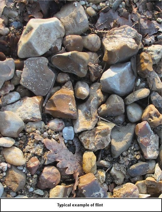 Central Vineyard Geology: Flint