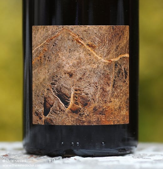 Pierre Luneau-Papin Muscadet Sèvre et Maine Terre de Pierre 2010 Pierre Luneau-Papin Muscadet Sèvre et Maine Terre de Pierre 2010