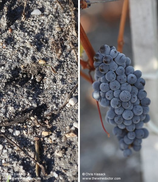 Château Lynch-Moussas