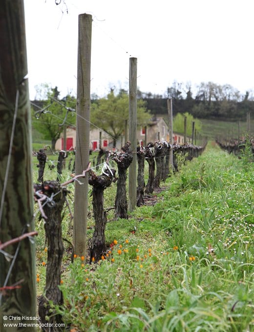 Château Magrez Fombrauge