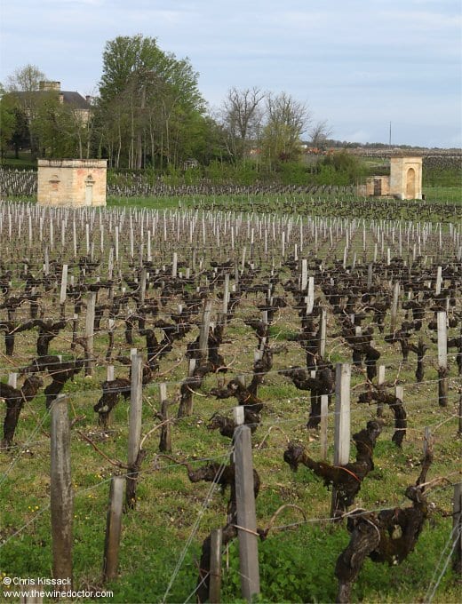 Château Marquis d'Alesme