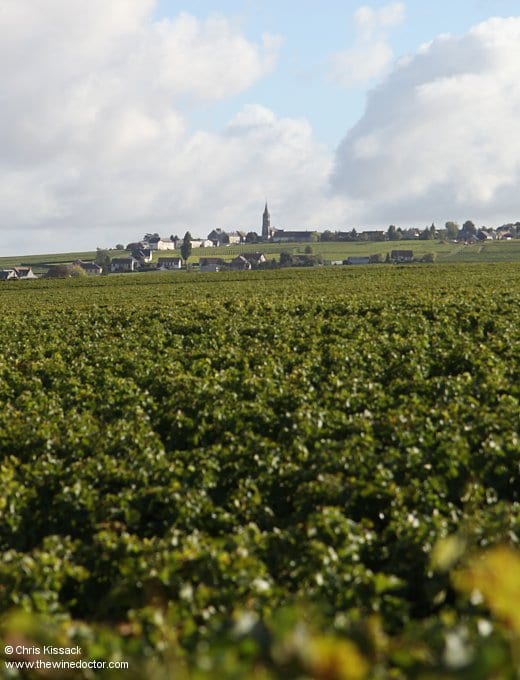 Domaine Masson-Blondelet