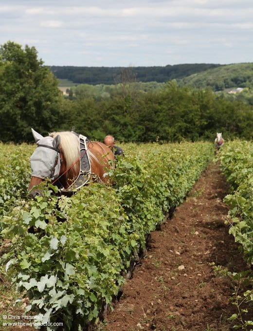 Le Clos de la Meslerie