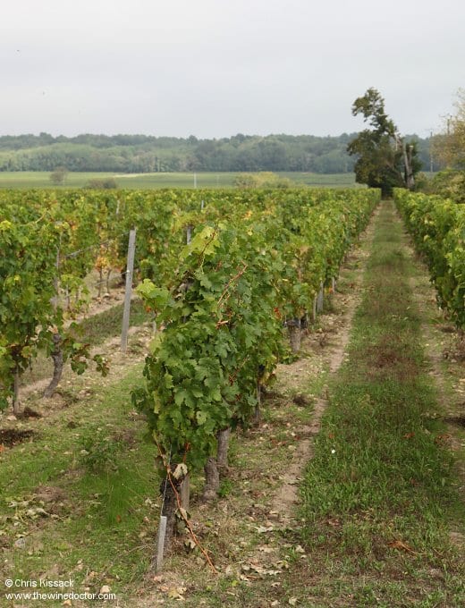 Château de Minière