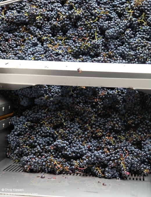 Château de Minière