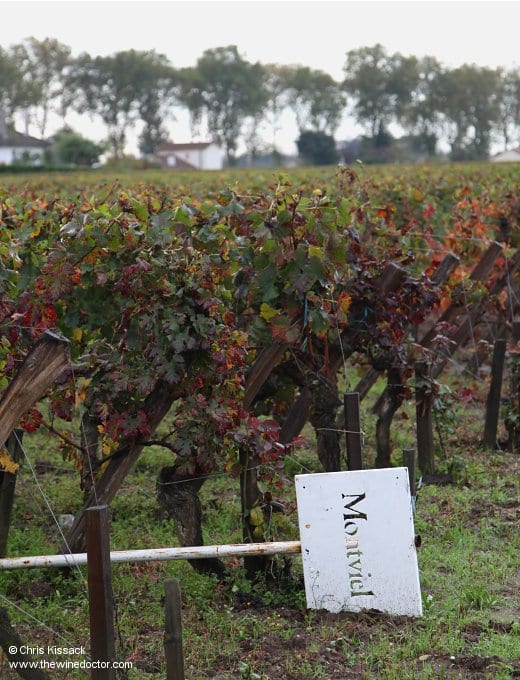A rather forlorn vineyard marker, Château Montviel, October 2013 Château Montviel