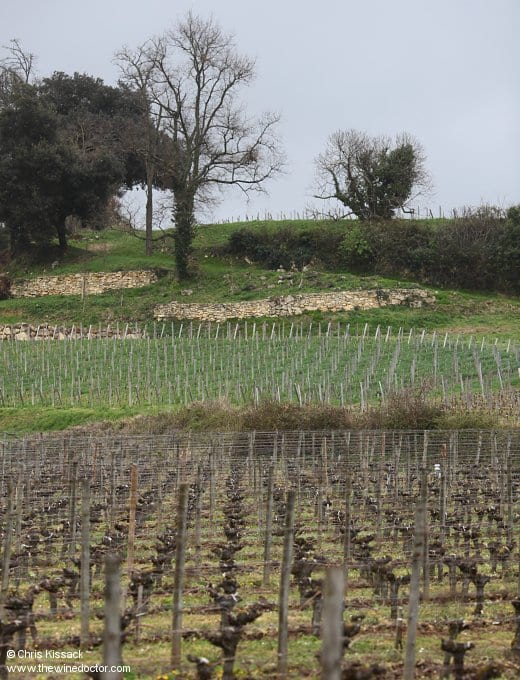 Château Moulin Saint-Georges