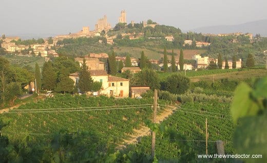 San Gimignano Panizzi Vernaccia di San Gimignano Santa Margherita 2009