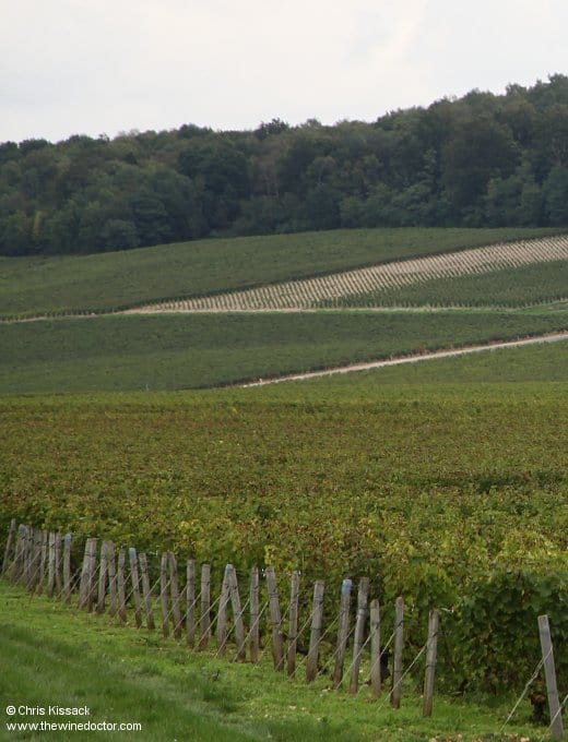 Pascal et Nicolas Reverdy