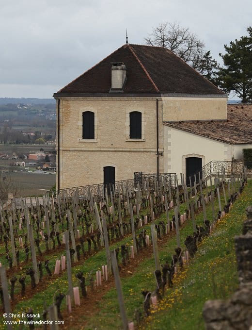 Château Pavie-Decesse