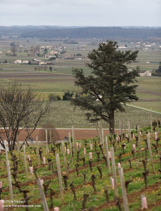 Château Pavie-Decesse