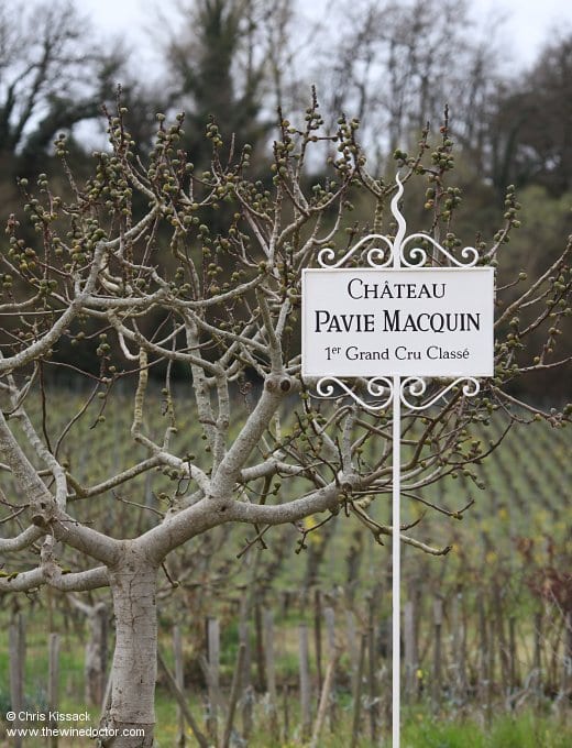 Château Pavie-Macquin