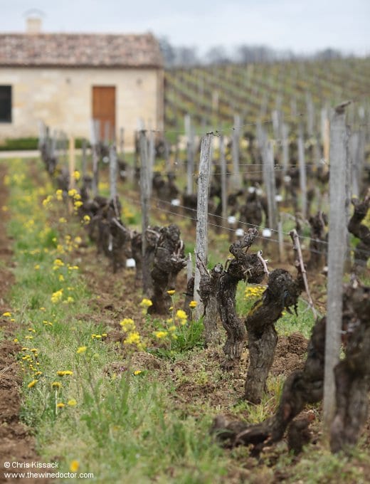 Château Pavie-Macquin