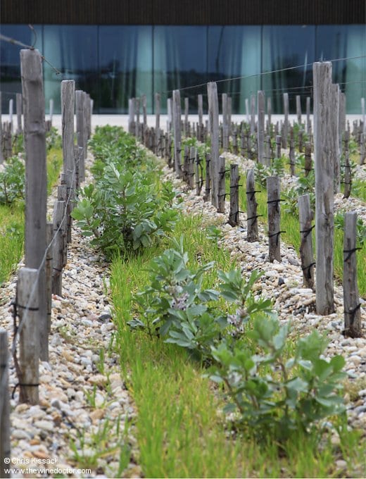 Château Pédesclaux