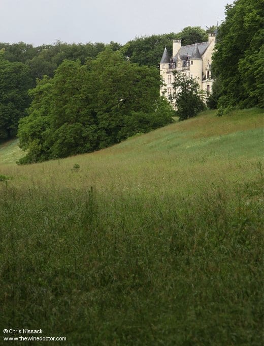 Château du Petit Thouars, June 2018 Château du Petit Thouars