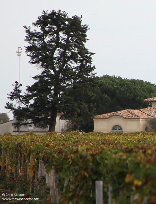 Taking vineyard markers to a new extreme at Petrus, October 2013 Petrus