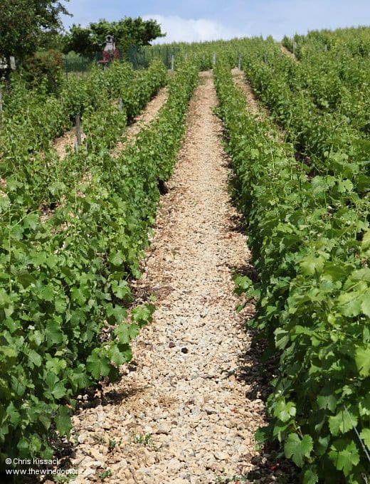 Gérard et Pierre Morin