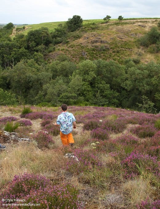Jo Paillé leads me across the top of Les Treilles, July 2014 Pithon-Paillé