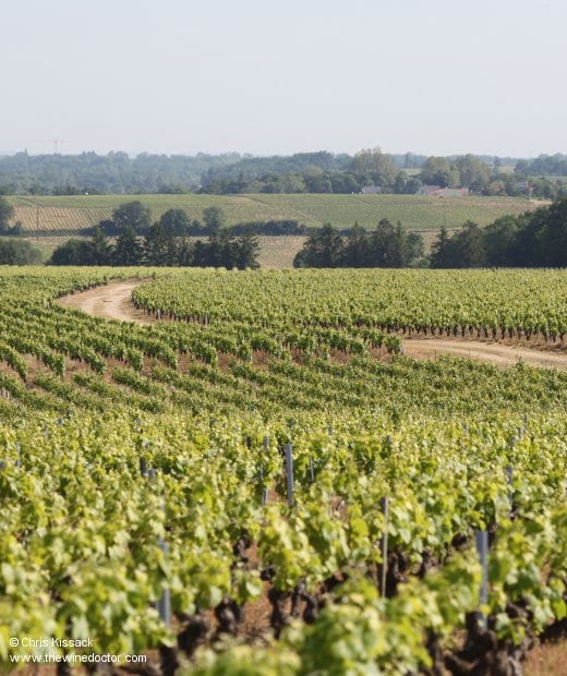 Domaine Poiron-Dabin