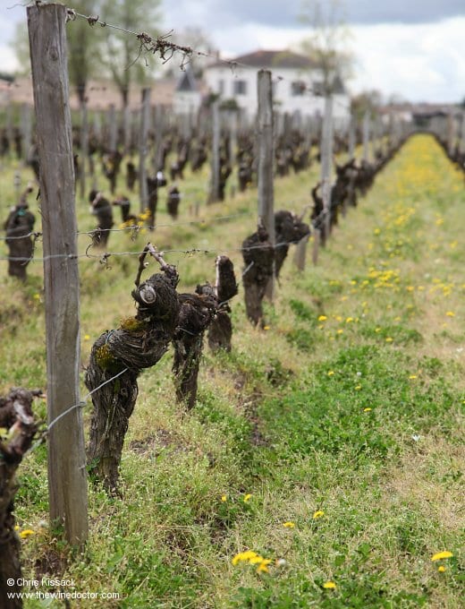 Château Quinault L'Enclos