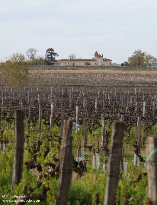 The vines of Château Raymond-Lafon, with Château Rabaud-Promis in the distance, April 2014 Château Raymond Lafon
