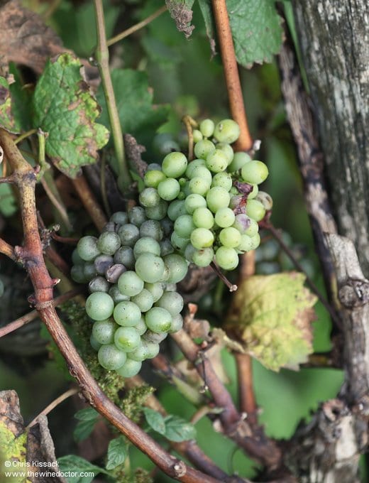 Le Rocher des Violettes