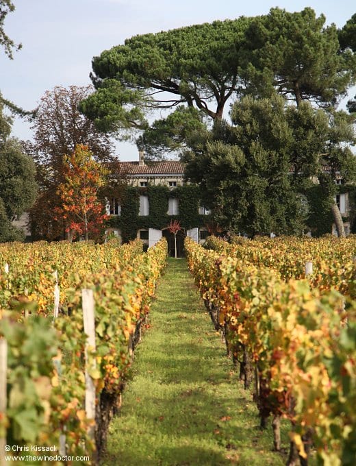 Château and vines at Château Rouget, October 2013 Château Rouget