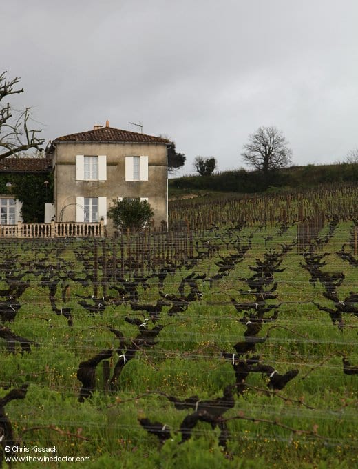 Château Saint Georges Côte Pavie