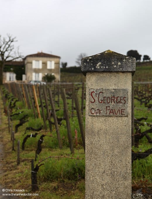 Château Saint Georges Côte Pavie