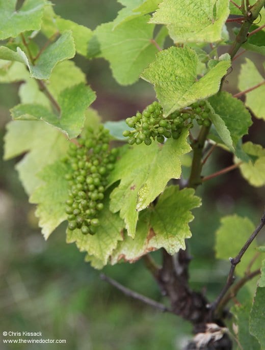 La Ferme de la Sansonnière