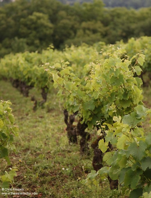 La Ferme de la Sansonnière