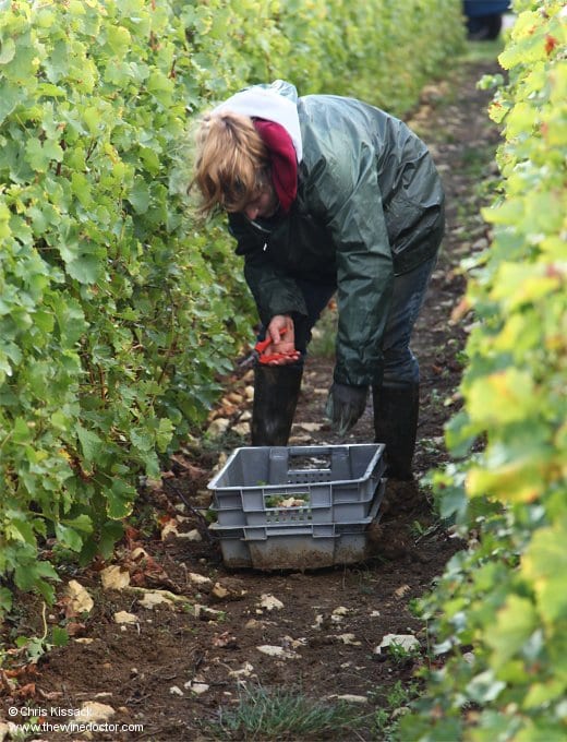 Serge Dagueneau et Filles