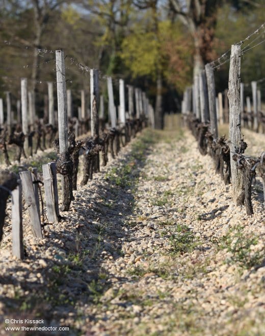 Gunzian gravel in the vineyard at Château Smith-Haut-Lafitte Château Smith-Haut-Lafitte