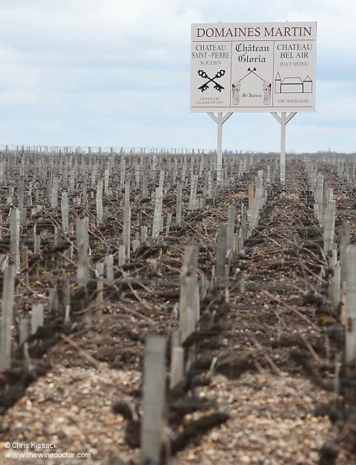 Domaines Martin sign among the vines, Château Saint-Pierre, April 2015 Château Saint-Pierre