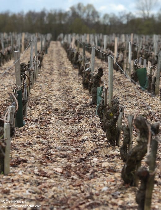 Château Saint-Pierre