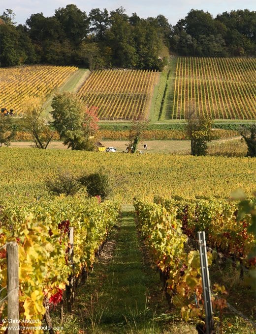 Château Tauzinat L'Hermitage