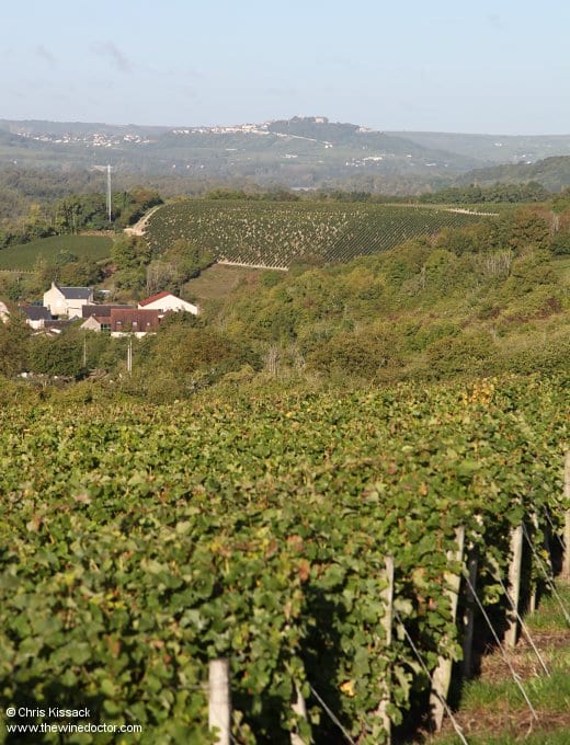 Domaine Tinel-Blondelet