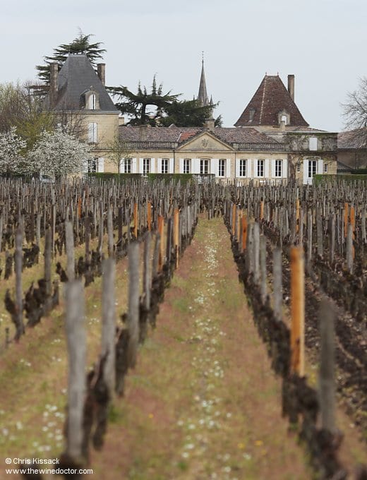 Vieux Château Certan and its vineyard, April 2013 Vieux Château Certan