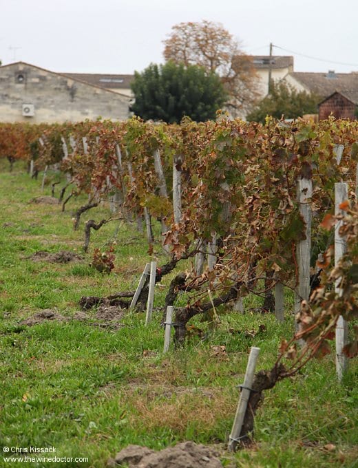 Château Vieux Maillet