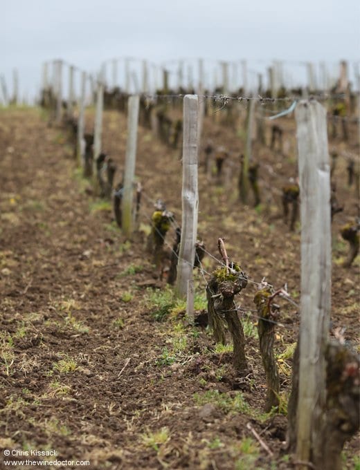 Château Villemaurine