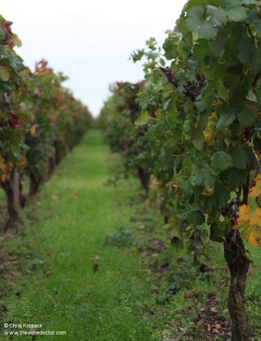 Château La Violette