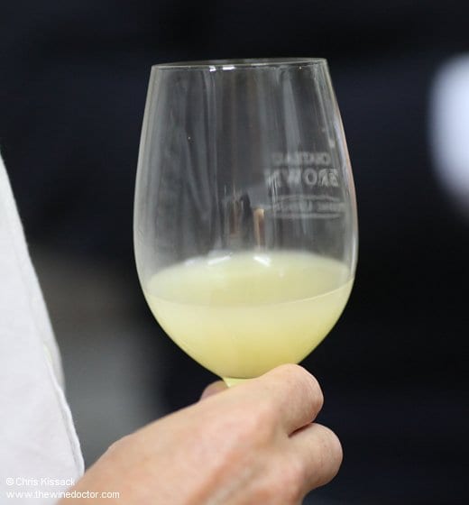 Just-fermented 2012 Sauvignon Blanc, Château Brown, October 2012 Bordeaux 2012