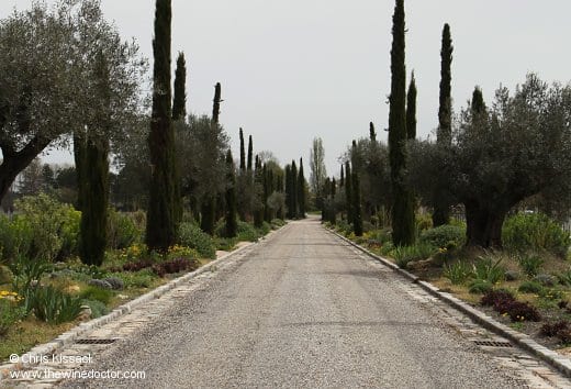 The long driveway at Château Clarke, April 2014 Bordeaux 2013