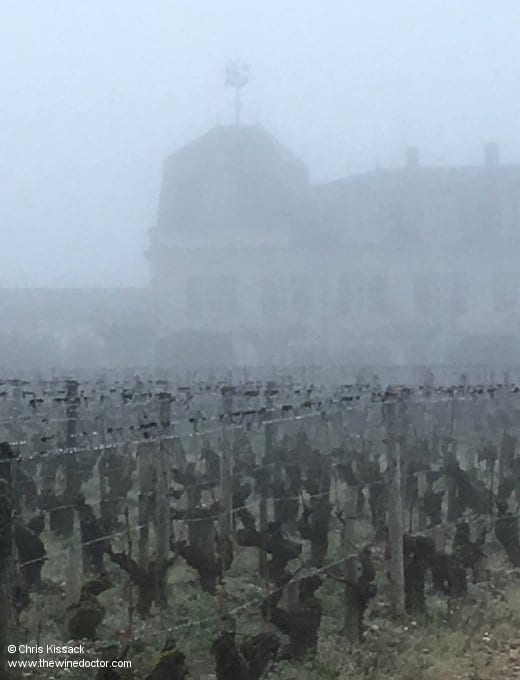 A foggy Château La Mission Haut-Brion, April 2017 Bordeaux 2016