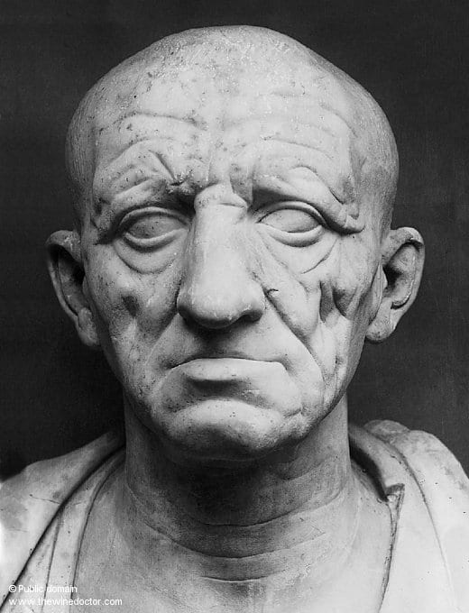 Loire Valley Red Winemaking